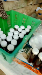 Ekstrak Daun Ketapang Laut: Peningkatan Warna Ikan Chana & Cupang