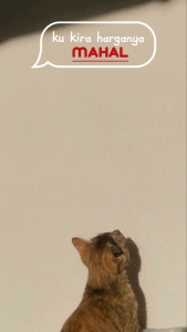 Talang Air Kap Mesin Mitsubishi Strada & L200