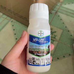 Thuốc trừ bệnh VELUM PRIME 400SC