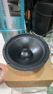 Live Storm Surge 18 1500 18inch 1500W Triple Magnet Speaker