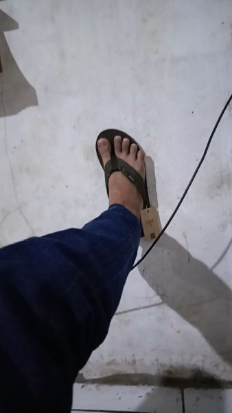 Buyer review video 2