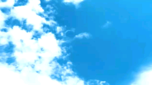 Habbatussauda Cap Kurma Ajwa Serbuk Jintan Hitam 120 Kapsul