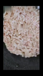 Rengginang mentah 500Gram isi -+ 20/22 pcs