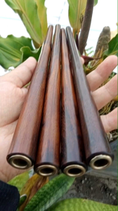 Pipa Sedotan Kayu Kelor Jawa A606: Solusi Alami untuk Minuman Anda