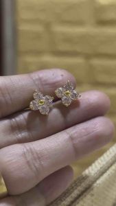 10k SD stud Earing (two tone)