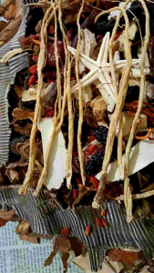 Thang ngâm bổ xương khớp