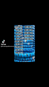 🎁 Free Gift 🎁 Free Shipping 🚚 Deli Tayar SB151 Size 17 and Size 14