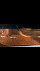 Bánh phồng Sơn Đốc - Bánh chưa nướng