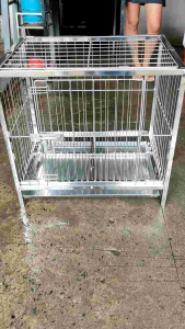 New 18x23x24 W L H Dog cage Stainless 304 3/4 sqauretube frame ( not 1/2 lowcost materials)