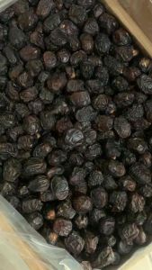 kurma ajwa | kurma nabi | oleh oleh haji & umroh