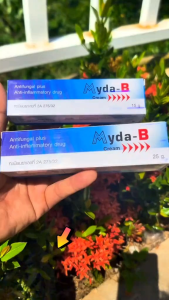 Kem dưỡng da Myda-B Thái Lan 15g và 25g - Giảm thâm nám tàn nhang