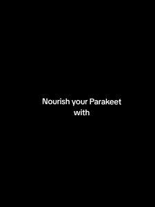 Witte Molen Expert Eggfood  Parrot Bird Food Diet (400g/ 1kg)