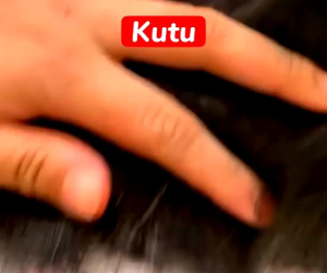 BULUZ pets spray (Ubat Kutu)