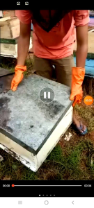 MADU MURNI HUTAN SIALANG SUMATERA 1/2 KG