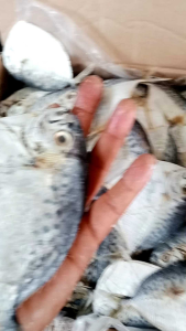 ikan asin SEMAR/ETEM  BESAR SUPER KERING 1KG best seller