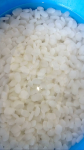 Kolang Kaling Muda Segar 1kg kolangkaling fresh