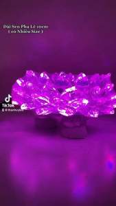 Đài Sen Pha Lê Cao Cấp Led Đổi Màu 10cm