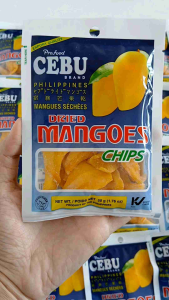 Profood Cebu Dried Mango Chips: A Healthy & Portable Snack