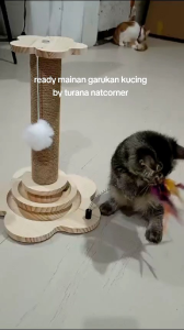 Tiang Garukan Kucing Kayu Sisal 4in1 40x8