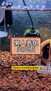 1kg Aquarium Red Lava Rock Volcanic Stone Bio Filter Media Succulent Volcano Stone