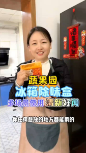 160g Deodorant Refrigerator Household Deodorant Antibacterial Food Preservation Box