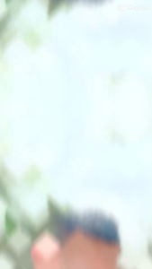 เสื้อลายขอพระราชทาน คอปกผู้ชาย ผ้าฝ้าย เชียงใหม่