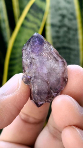 👑 ผลึกอเมทิส ซุปเปอร์ 7 ผลึกสวย หลายปลายเเหลม น่าสะสมมากๆ  ( Amethyst Super7 )🌿 ผลึกอเมทิส ทรงสวย