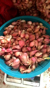 bawang merah Brebes asli 800 gram