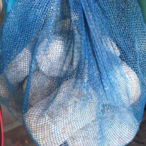 ชนิด ก้อน 500 กรัม ครึ่งกิโล ขยายเชื้อต่อได้ จาวปลวก