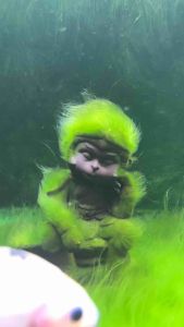 ตู้เขียวหุ่นปั้นดินเผาสภาลิงนั้ง ตู้ลิง 15 cm พิพิธภัณฑ์สัตว์น้ำอุปกรณ์ ตู้ปลาตู้ไม้ น้ำพร้อม ส่งในประเทศไทย