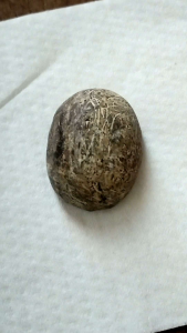 Batu akik anti wisa asli