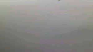 Gemoy Cat Wetfood: Makanan Basah Kucing Tuna untuk Kitten & Dewasa