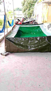 Bể bạt nuôi ốc ếch cá chống bò chống nhảy