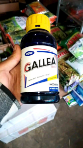 GALLEA 300 EC 500 ml INSEKTISIDA PEMBASMI SERANGGA