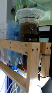 Aquarium Brine Shrimp Incubator Cap