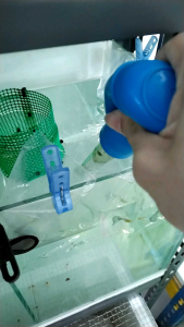 Pipette Dropper 35103050ml