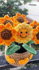 Hoa len chậu hướng dương mặt cười quà tặng ý nghĩa