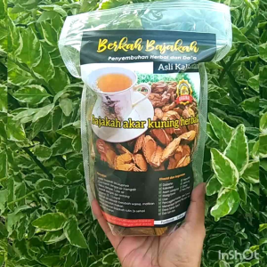 Kayu Bajakah Akar Kuning & Bonus Minyak Urut Dayak 250ml