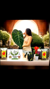 DeliC Aroid Media Tanam Premium Siap pakai (20X35)