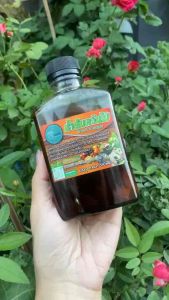 ป้องกันศัตรูพืชน้ำส้มควันไม้/wood vingar