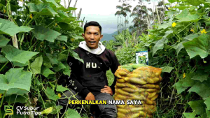 BENIH TIMUN LALAPAN ROMANSA