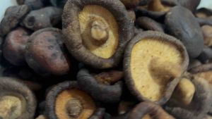 เห็ดหอม อบกรอบ (Baked Shiitake Mushrooms) พร้อมทาน หอม กรอบ อร่อย เคี้ยวเพลิน ประโยชน์เยอะ