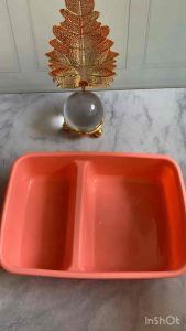 Kotak Bekal Lunch Box Sekat Tempat Makan BPA free Awet Biggy Dino