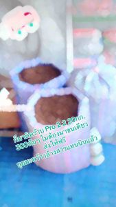 ขุยมะพร้าว ขุยมะพร้าวล้างสารแทนนินแล้ว น้ำหนัก 20กก ขนาด50ลิตร ขุยมะพร้าวโลอินทรีย์วัสดุทดแทนดินปรุงดิน