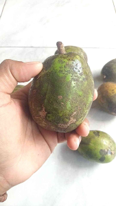 Buah Kedondong Segar Spesial ( Kemasan 1 kg )