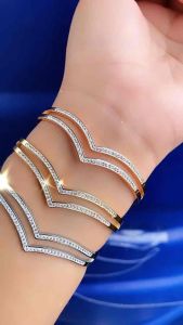 Gelang Bangle Fuji 2 In Titanium Mata Mata CXB197