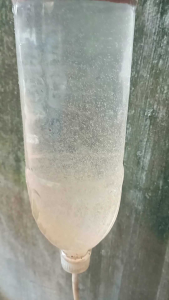 artemia mẫu mới chất lượng đạt 95/💯 sản xuất 7/2/2024 tặng phụ kiện ấp