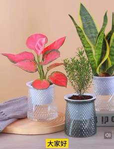 【Selangor】Flower Pot Visible Water Level Self Watering Plant Pot Durable Plastic Garden Supplies Hydroponic Planter