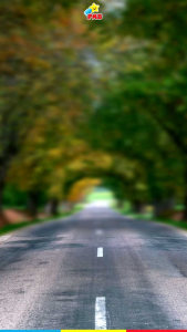 Stroller Sepeda Anak Roda Tiga PMB Iora TM16 Tricycle TM-16 TM 16