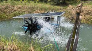 ตู้ควบคุมมอเตอร์บัสเลส 350500750w - กล่องควบคุม มอเตอร์บัสเลส สำเร็จรูป